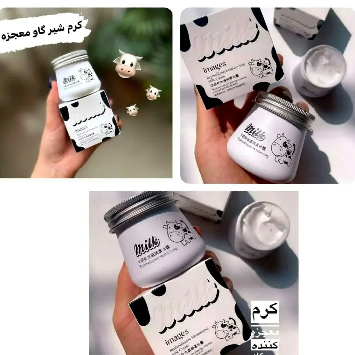 کرم  شیر گاو